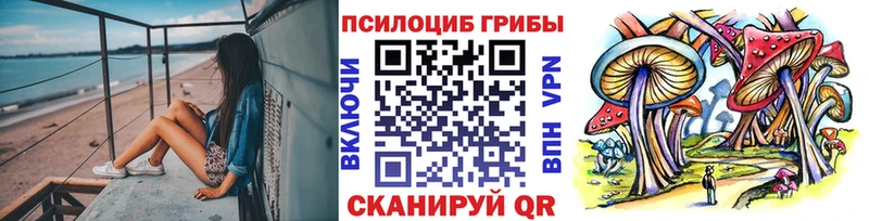 Псилоцибиновые грибы Cubensis  как найти закладки  Курганинск 